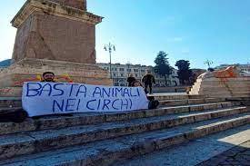 Immagine dell'articolo