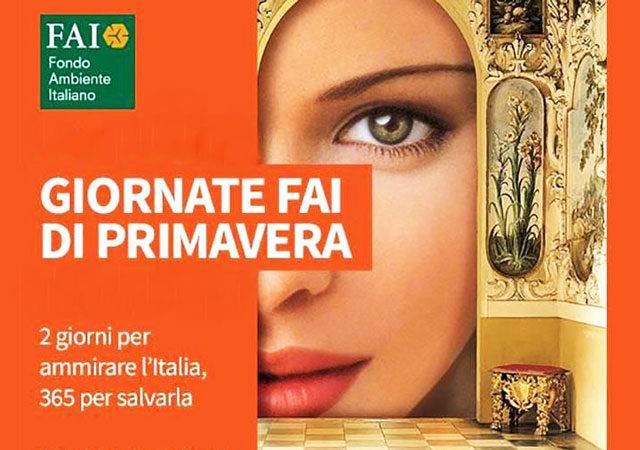 Immagine dell'articolo