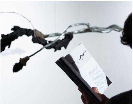 Immagine dell'articolo