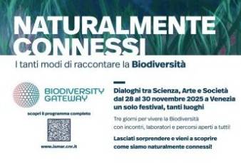 Immagine dell'articolo